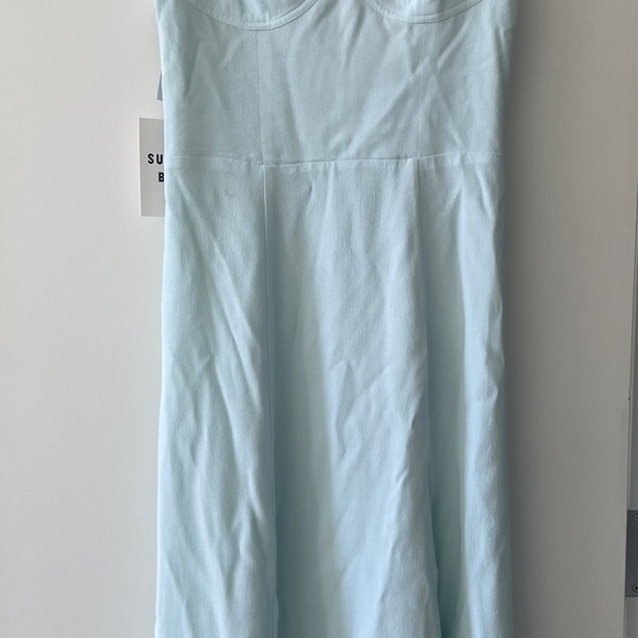 Viola Midi Dress (Aritzia) - Picture 3 of 6